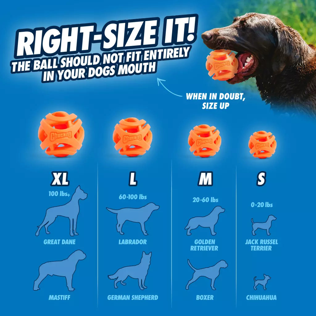 Chuckit! Air Fetch Ball S (2-pack)