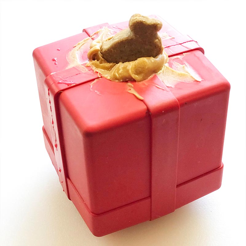 SodaPup Gift Box Medium – Red