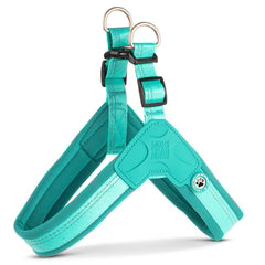Smart ID Q-Fit Harnas Max & Molly Turquoise