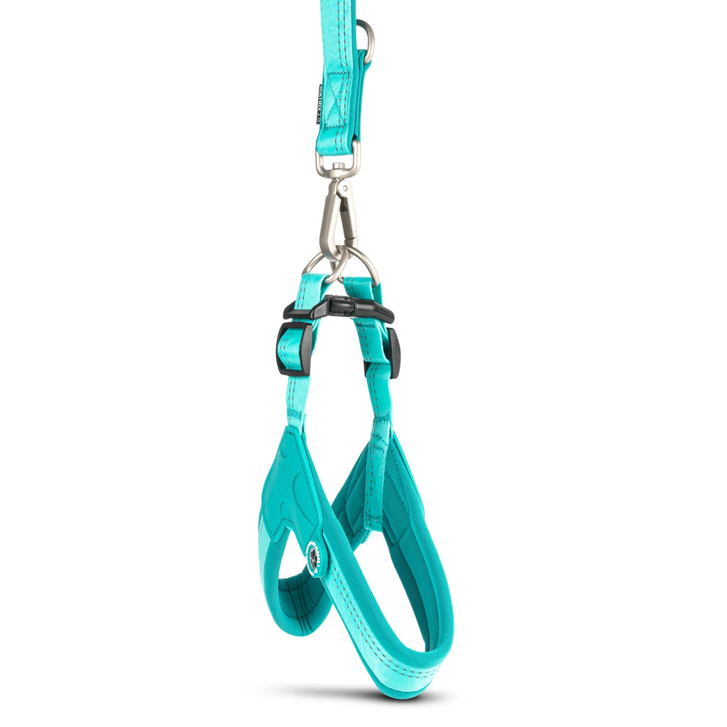 Smart ID Q-Fit Harnas Max & Molly Turquoise