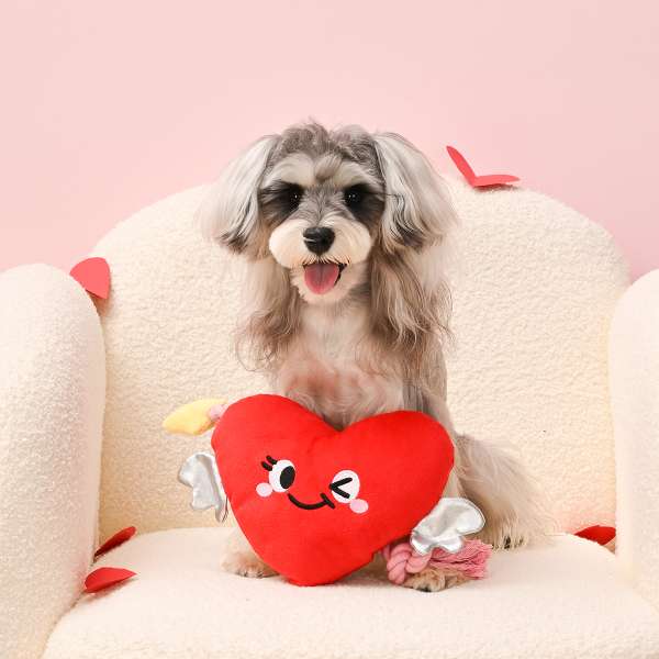 Woof Love – Heart & Arrow
