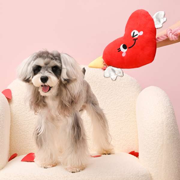 Woof Love – Heart & Arrow