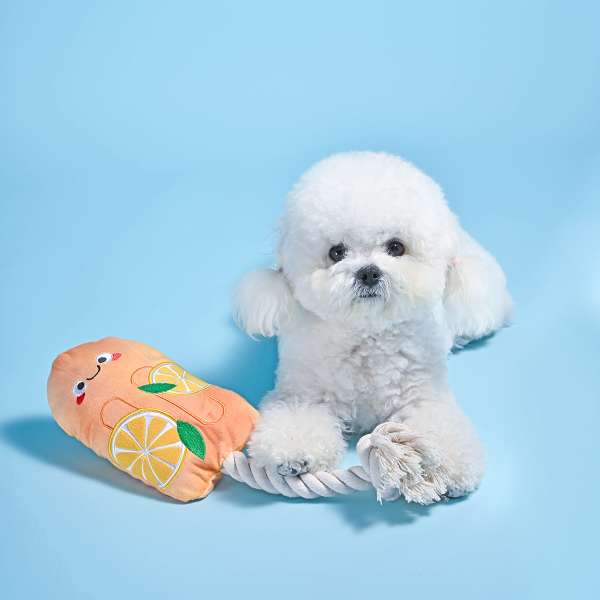 Beach Daze – Orange Popsicles