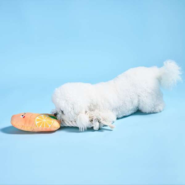 Beach Daze – Orange Popsicles
