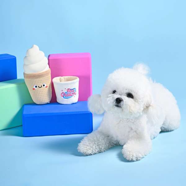 Food Party – Ice Cream