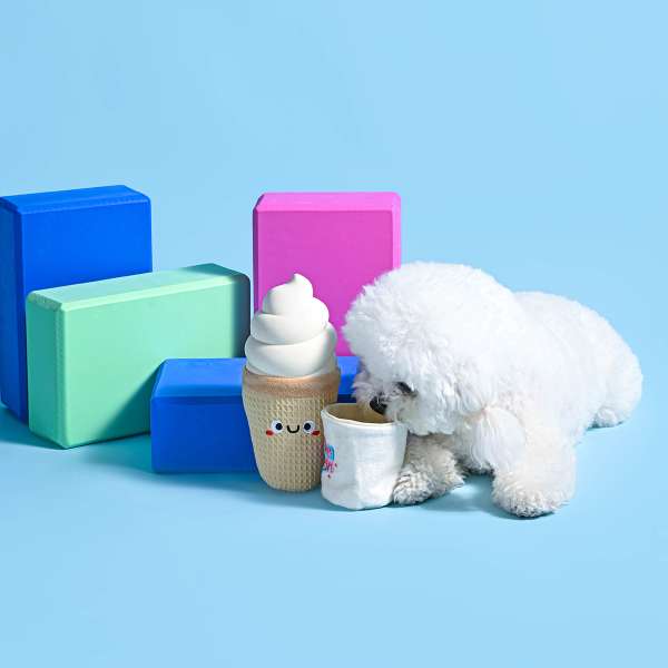 Food Party – Ice Cream