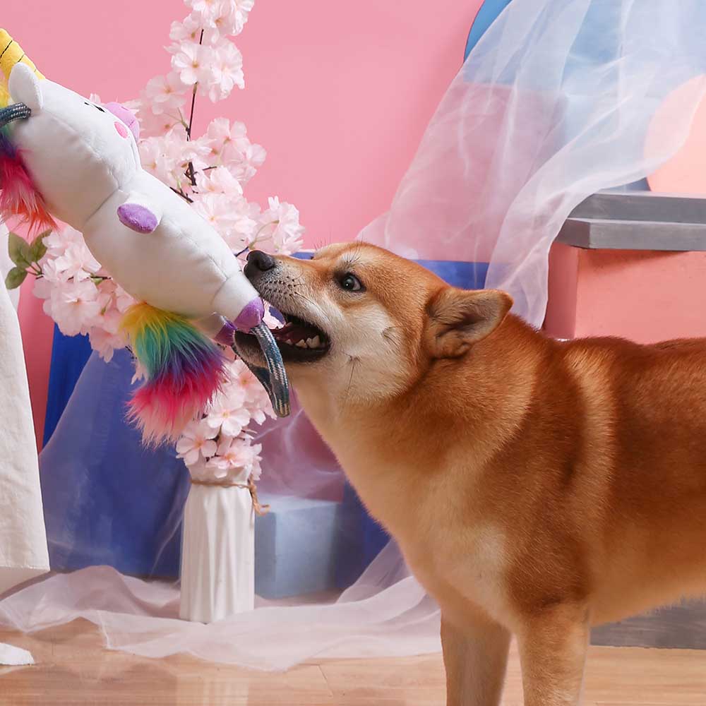 Fairytale Story – Unicorn