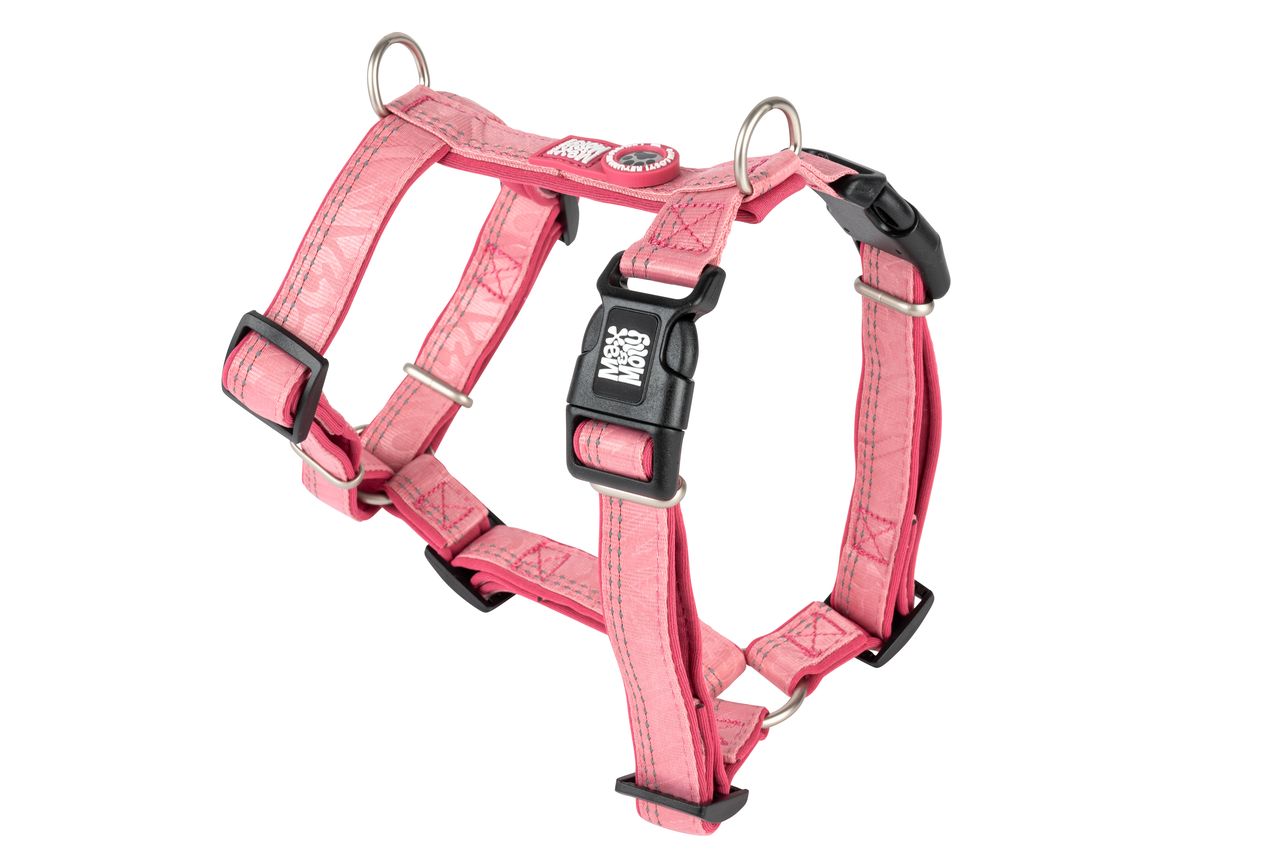 Comfort Smart ID H-Harnas van Max & Molly Rose