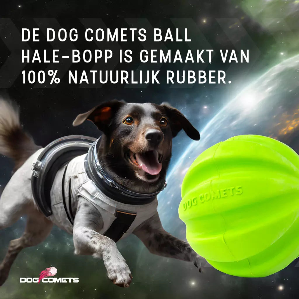 Dog Comets Halley Met Touw Groen