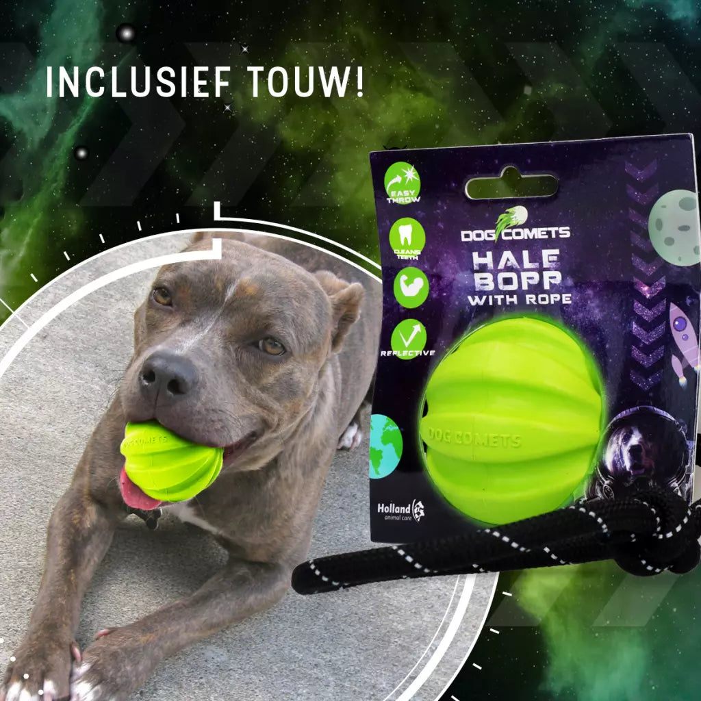 Dog Comets Halley Met Touw Groen