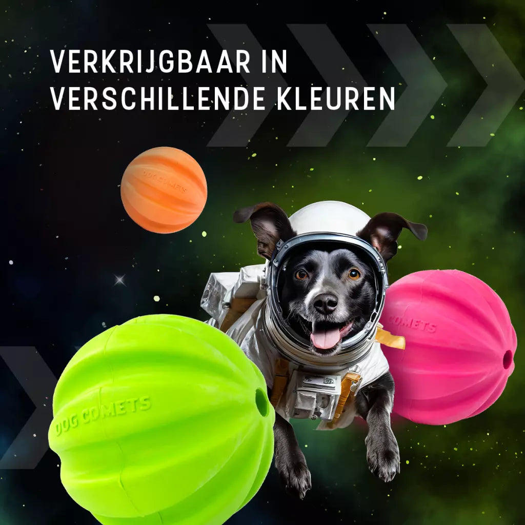 Dog Comets Halley Met Touw Groen