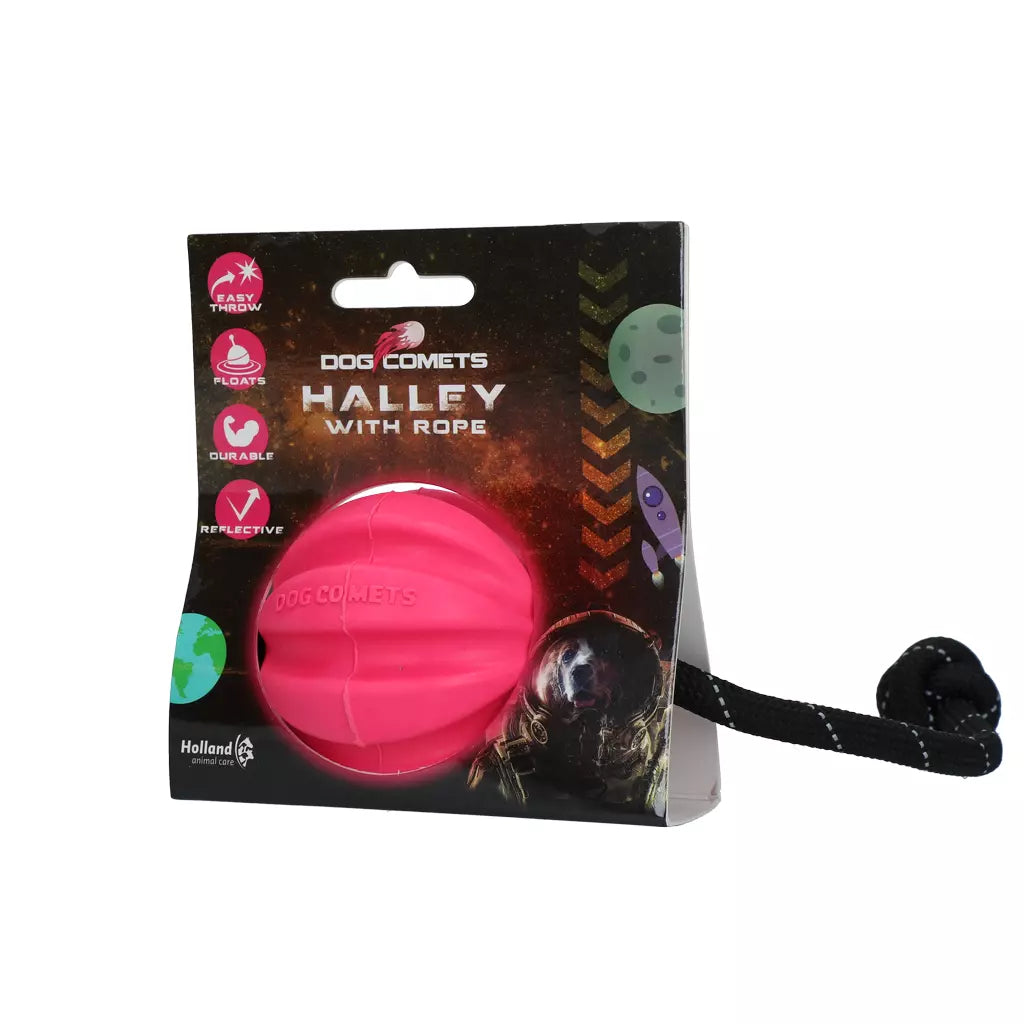 Dog Comets Halley Met Touw Roze