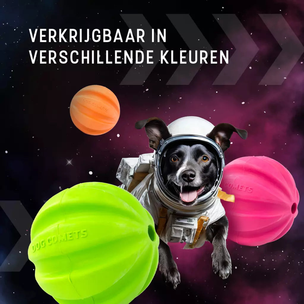 Dog Comets Halley Met Touw Roze