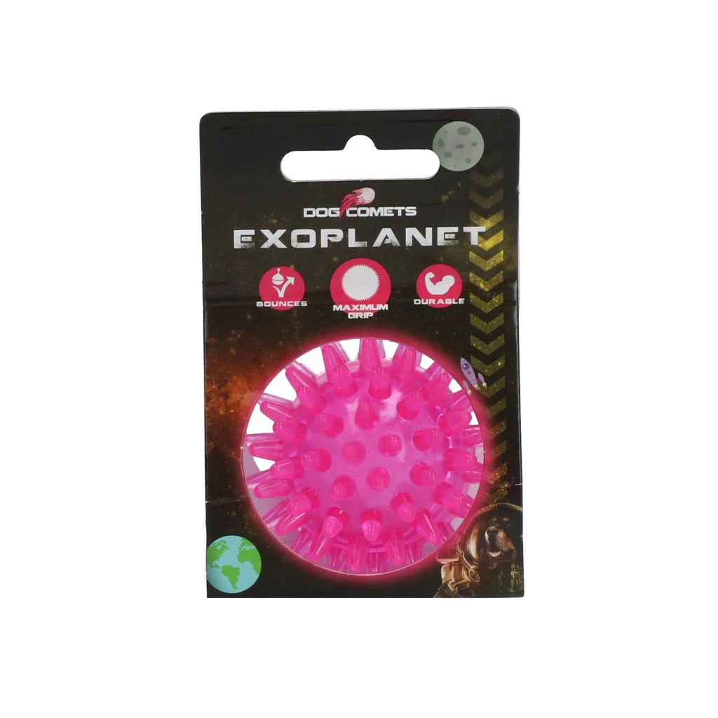 Dog Comets Exoplanet Egelbal S Roze