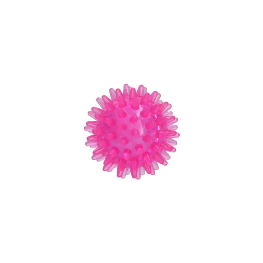 Dog Comets Exoplanet Egelbal S Roze