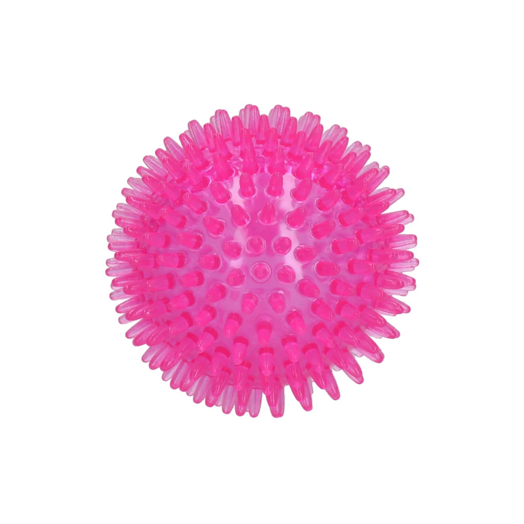 Dog Comets Exoplanet Pink M