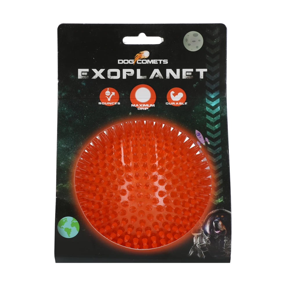 Dog Comets Exoplanet Orange
