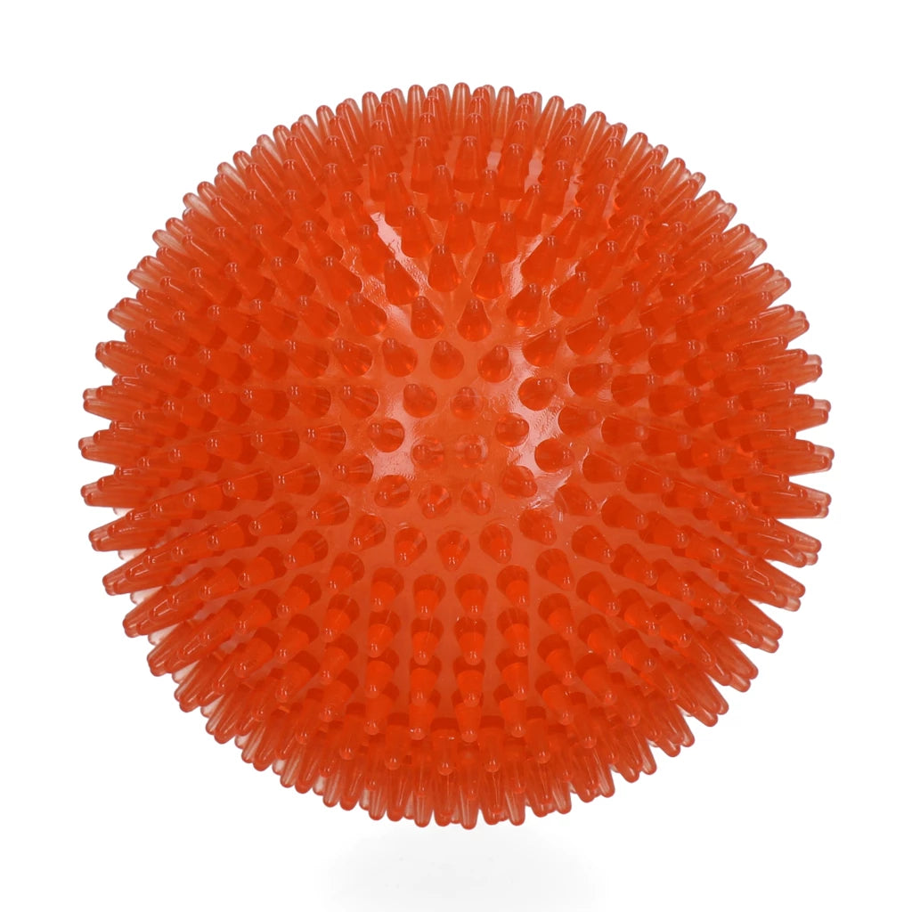 Dog Comets Exoplanet Orange