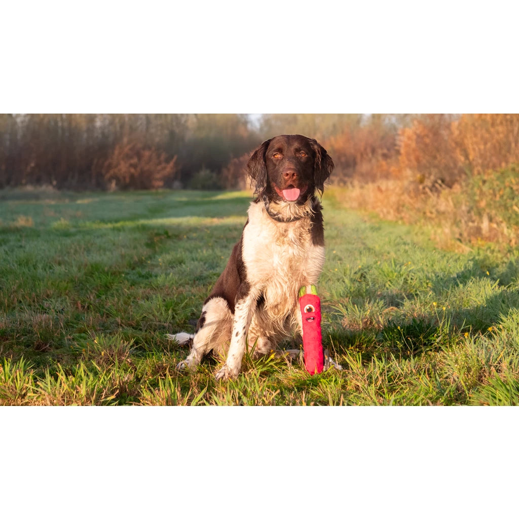 Dog Comets Invaders Oranje M