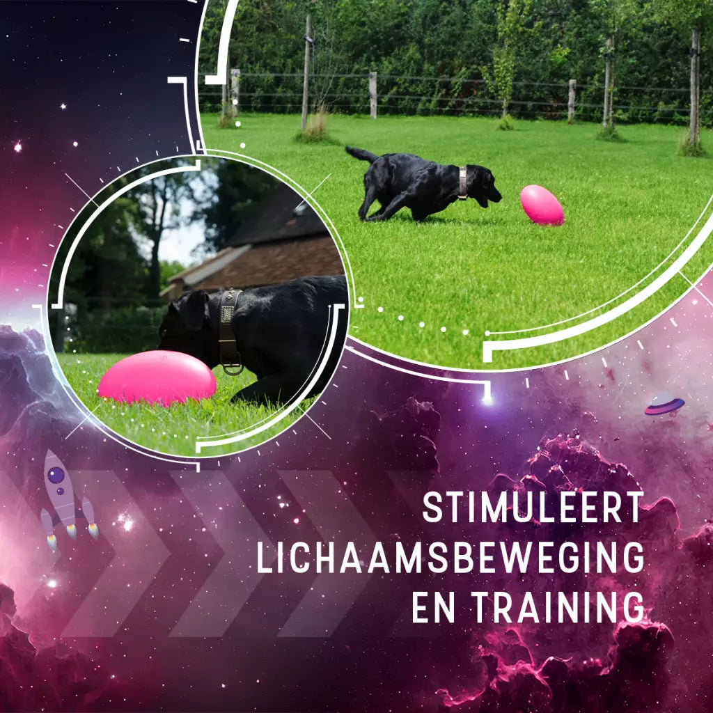 Dog Comets Pan-Stars Roze Large 30 cm