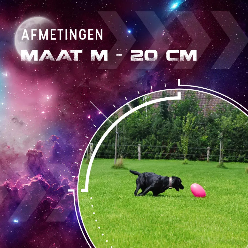 Dog Comets Pan-Stars Roze Large 30 cm