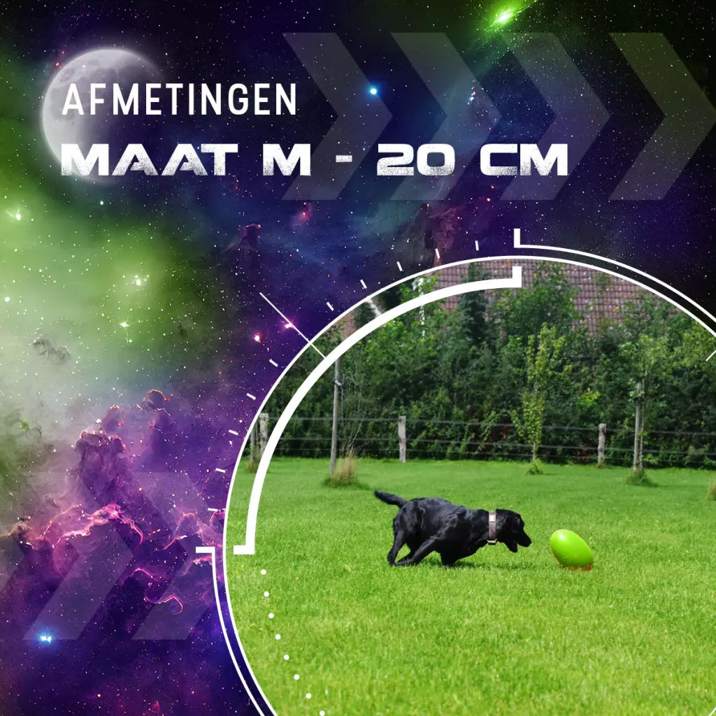 Dog Comets Pan-Stars Groen