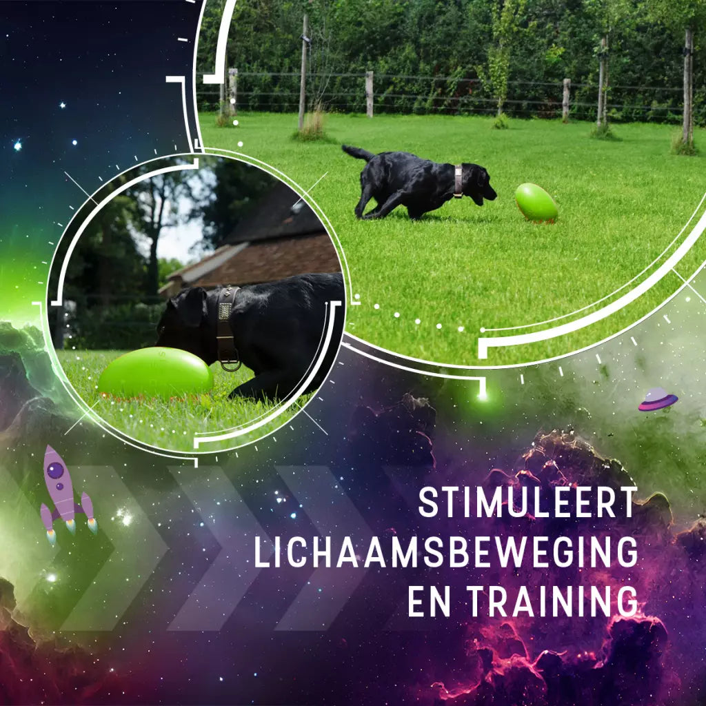 Dog Comets Pan-Stars Groen