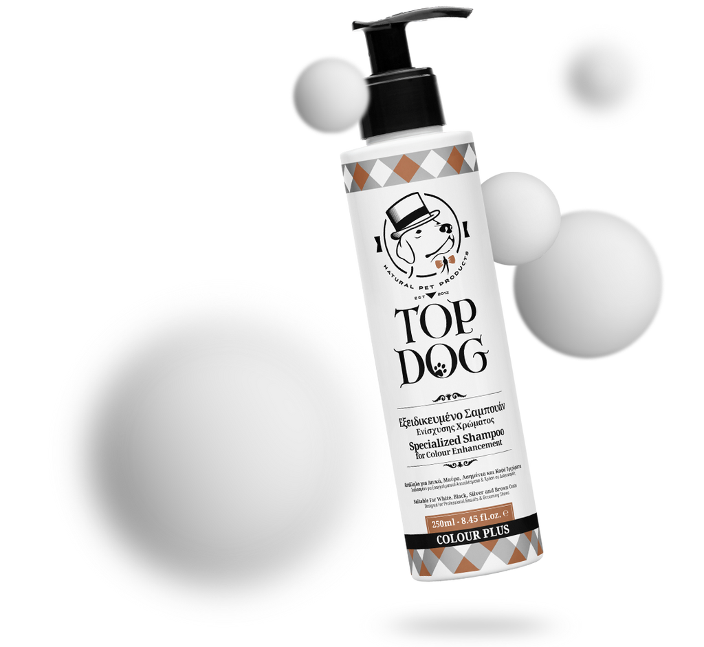 Colour Plus Shampoo - 250 ml