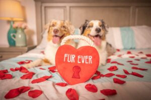 Lulubelles Power Plush Fur Ever Lock Heart Large Huxley & Kent