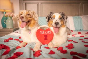 Lulubelles Power Plush Fur Ever Lock Heart Large Huxley & Kent