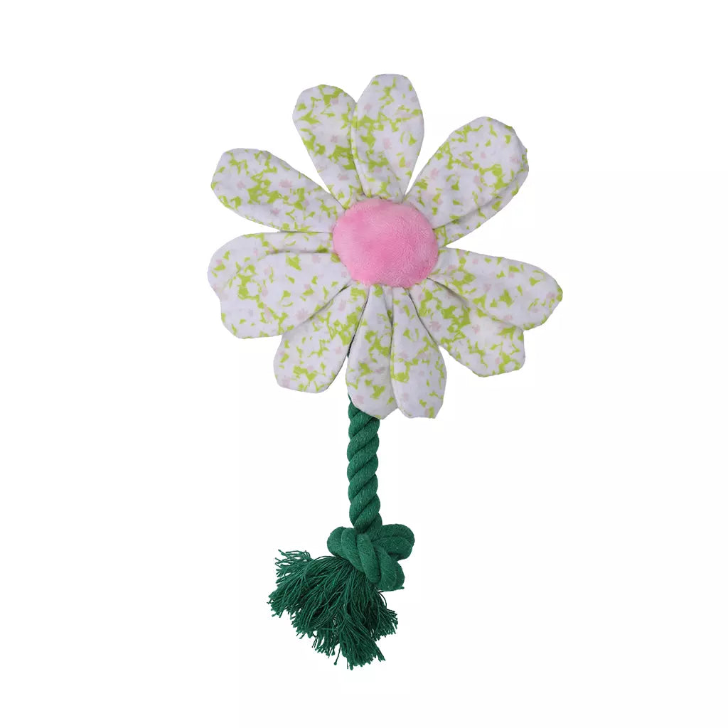 Garden Paws Flower Spring Sakura S