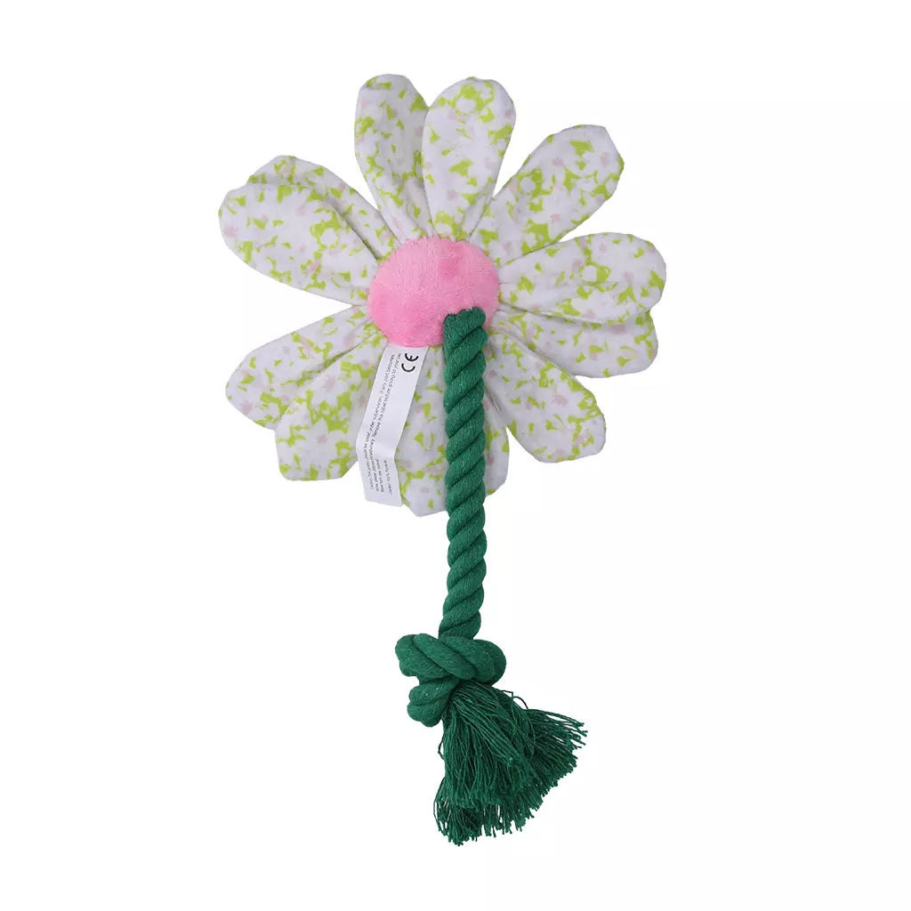Garden Paws Flower Spring Sakura S