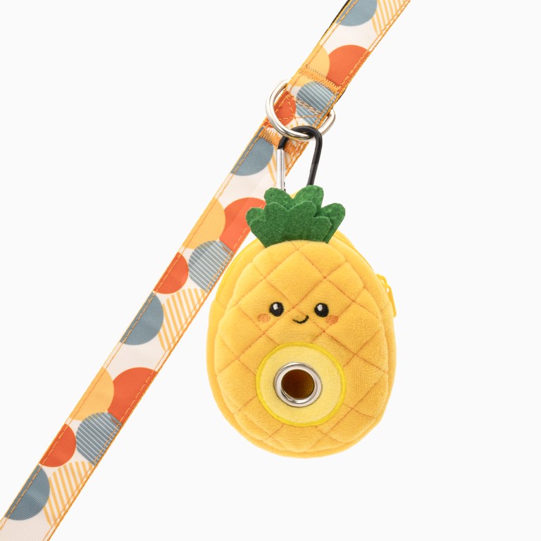 Pooch Pouch – Pineapple