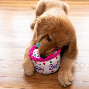 Lulubelles Power Plush Happy Barkday Cake Large