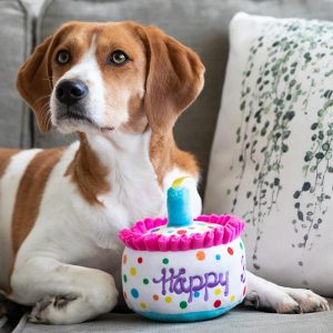 Lulubelles Power Plush Happy Barkday Cake Large