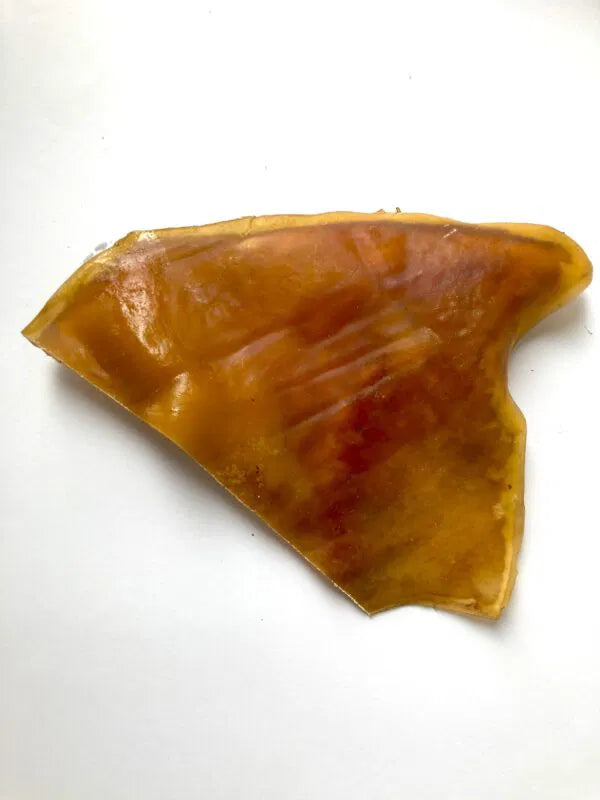 XL mooie grote stukken kophuid 5 stuks