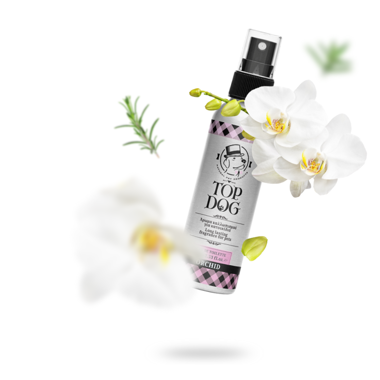 Orchid Eau de Toilet - 75 ml