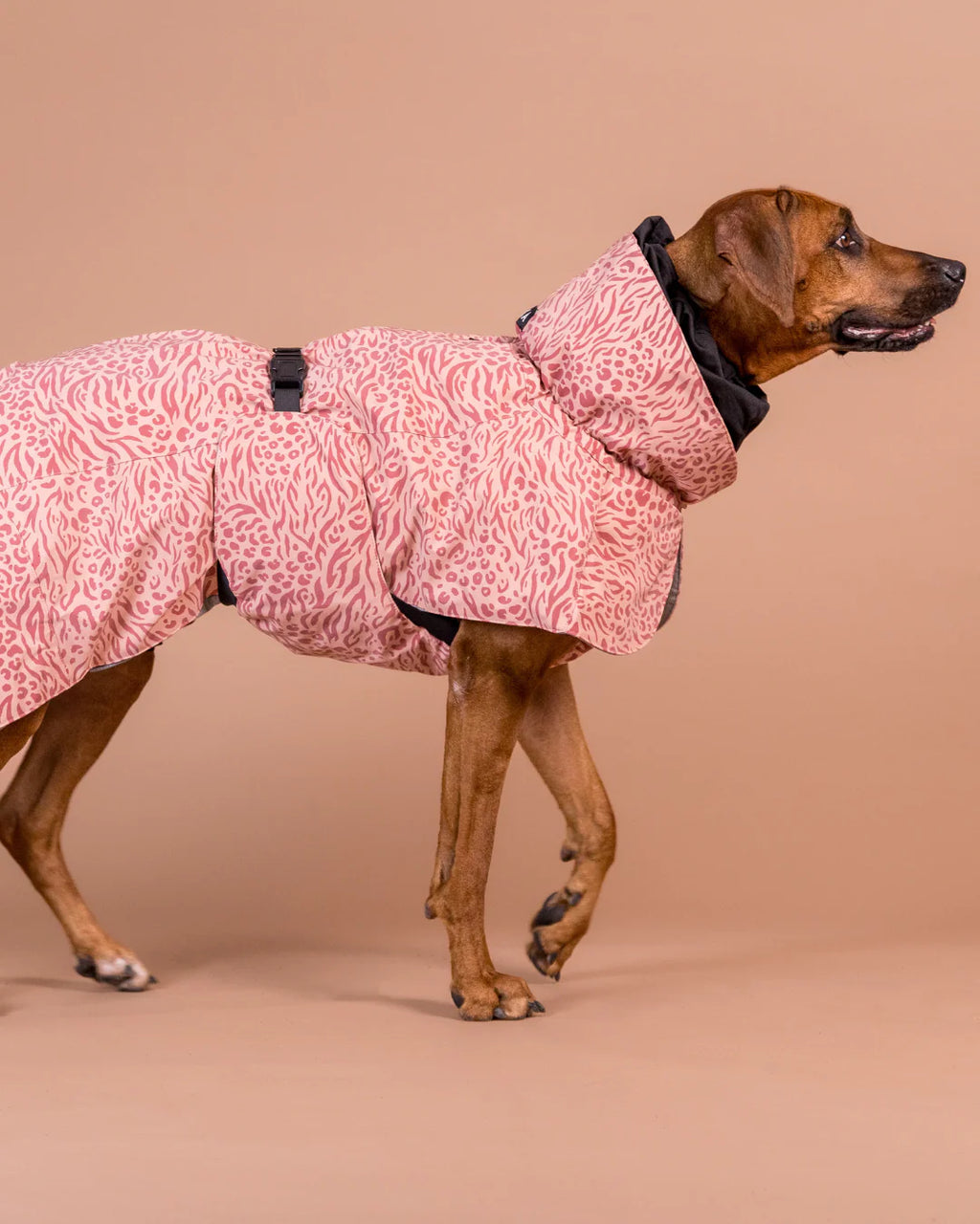 PAIKKA Visibility Winter Jacket Wool for Dogs Red Mix