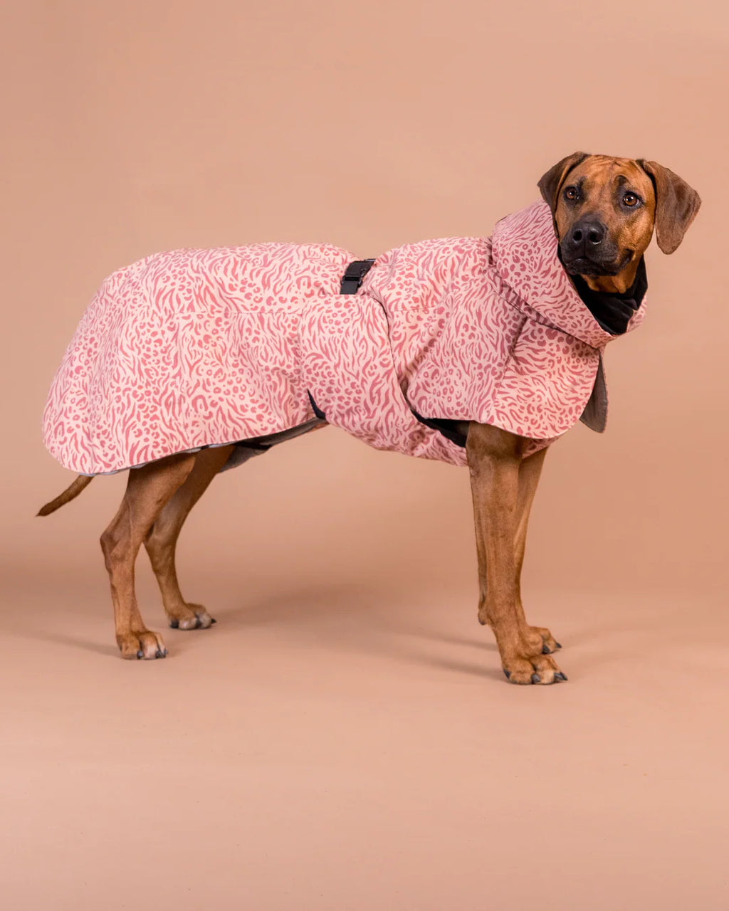 PAIKKA Visibility Winter Jacket Wool for Dogs Red Mix