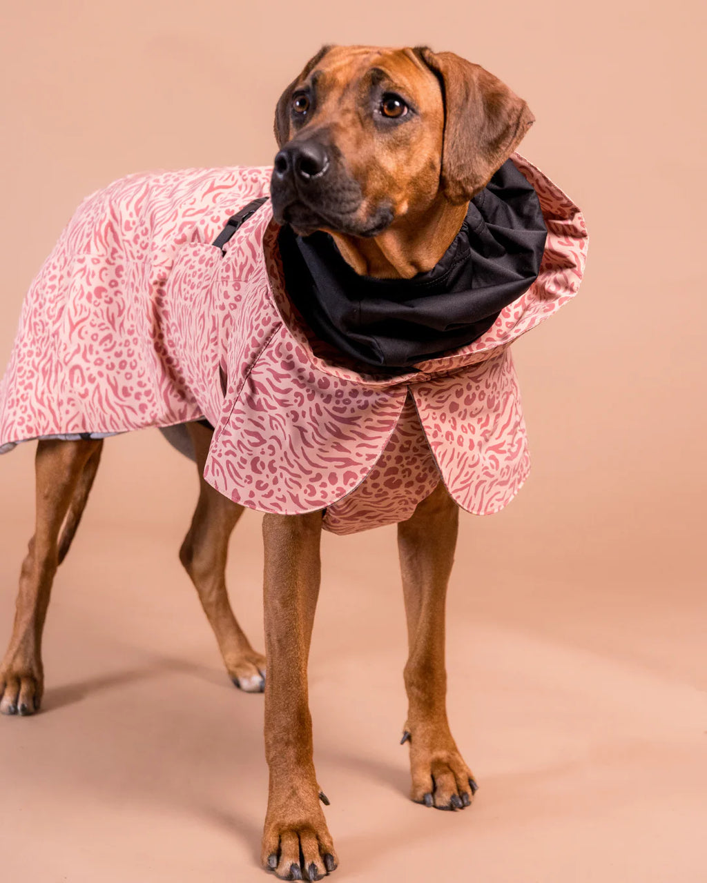 PAIKKA Visibility Winter Jacket Wool for Dogs Red Mix