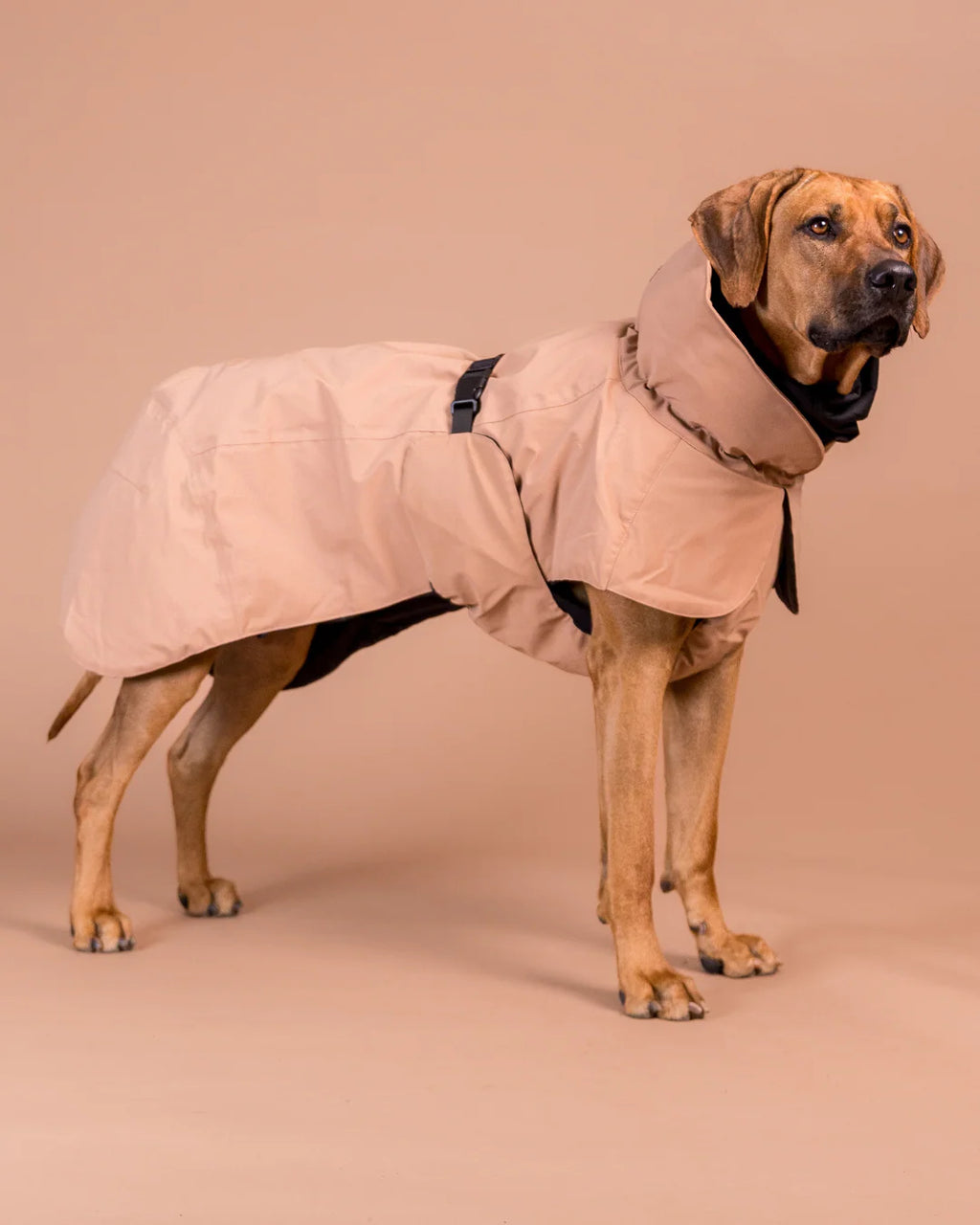 PAIKKA Visibility Winter Jacket Wool for Dogs Taupe