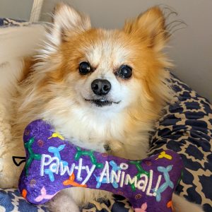 Lulubelles Power Plush Pawty Animal Bone Small