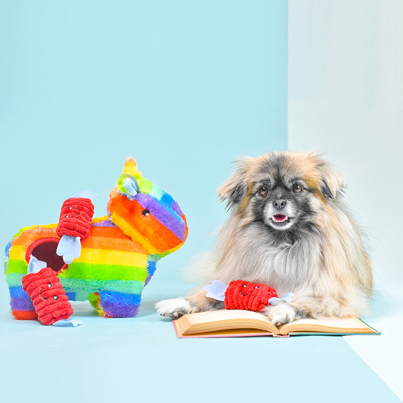 Zippy Burrow – Pinata Zippy Paws