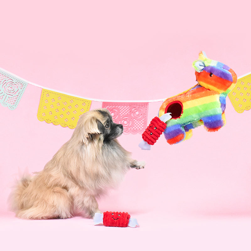 Zippy Burrow – Pinata Zippy Paws