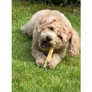 SwissCowers Cheese Bars Truffle S 80 Gr