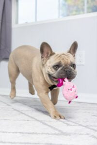 Lulubelles Tiny Tuff Love Bugs Zippy Paws