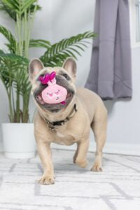 Lulubelles Tiny Tuff Love Bugs Zippy Paws