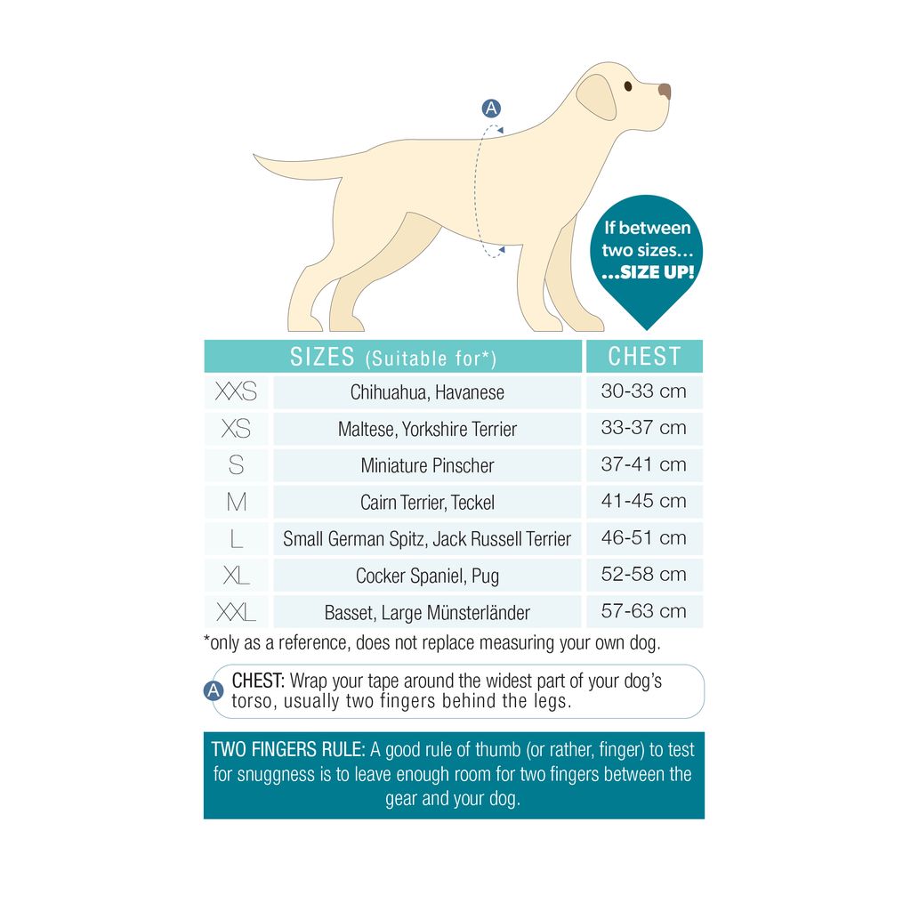 Air vest Smart 2.0 Max & Molly Turquoise