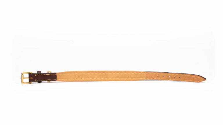 Traditionele gevoerde halsband
