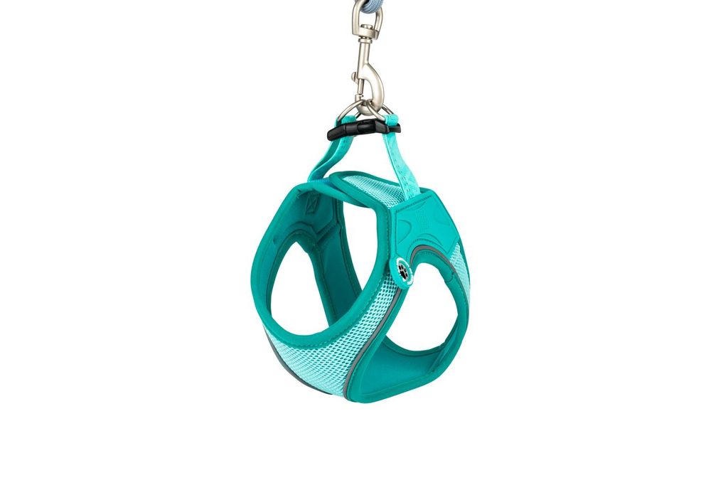 Air vest Smart 2.0 Max & Molly Turquoise